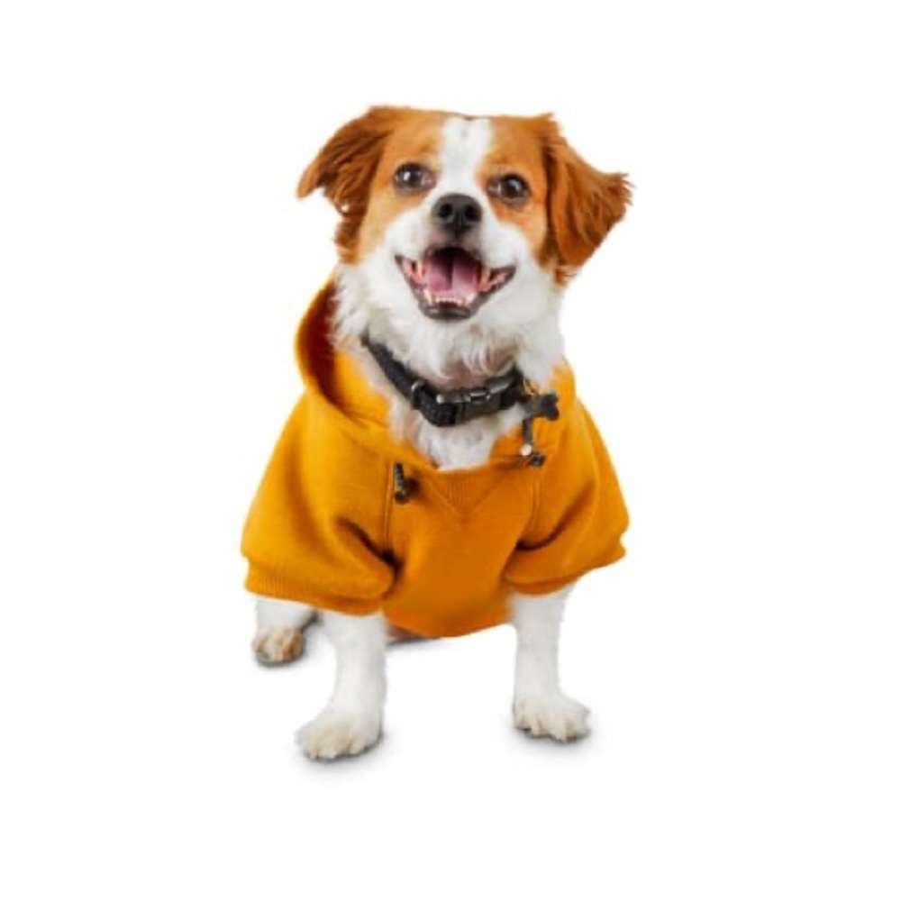Doggie sweatshirt with clicker